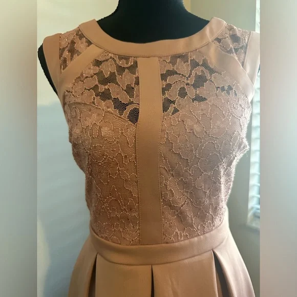 EUC‼️ Enfocus Studio Dusty Rose Sparkly Lace Dress. - Picture 8 of 8